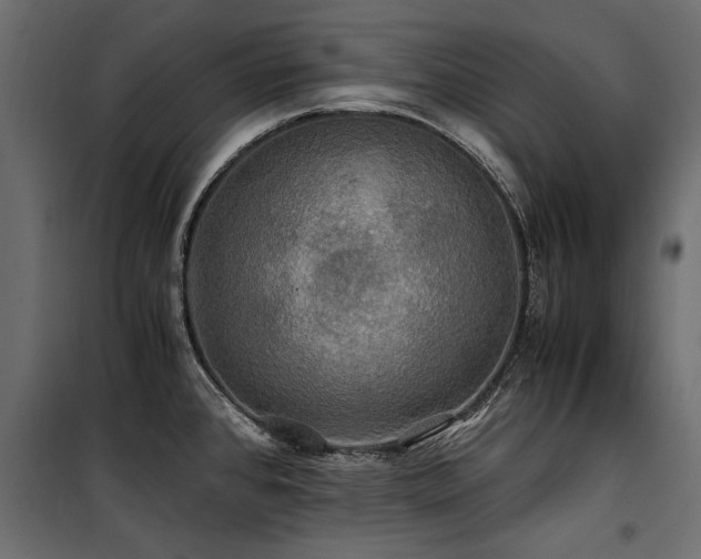 X0000100761384200806191157