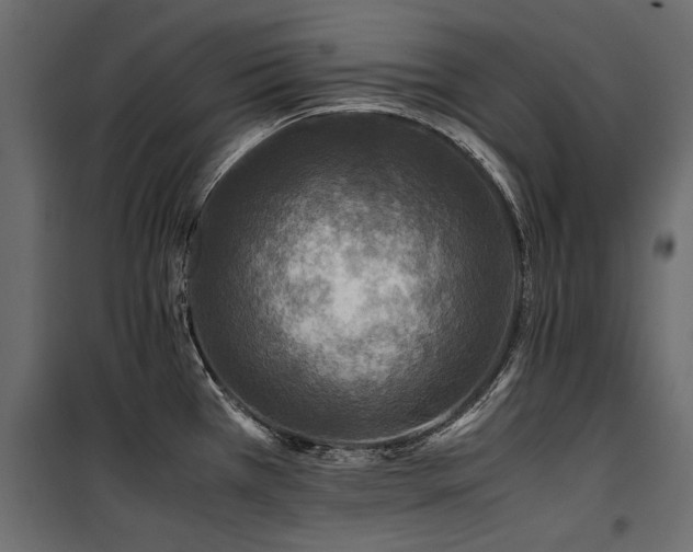 X0000100761385200806191157