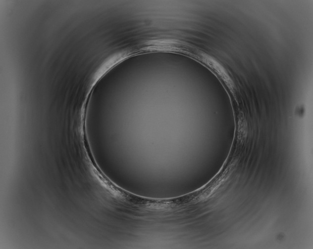 X0000100761386200806191157