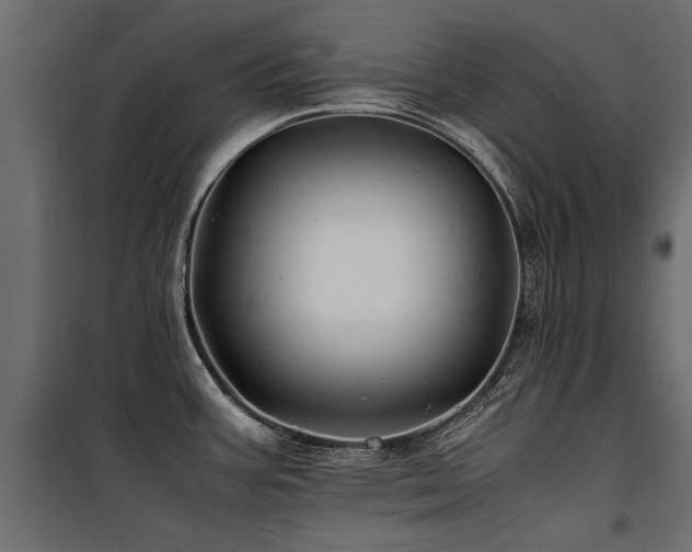 X0000100761387200806191157