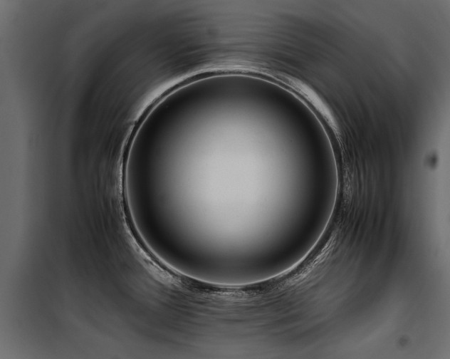 X0000100761388200806191157