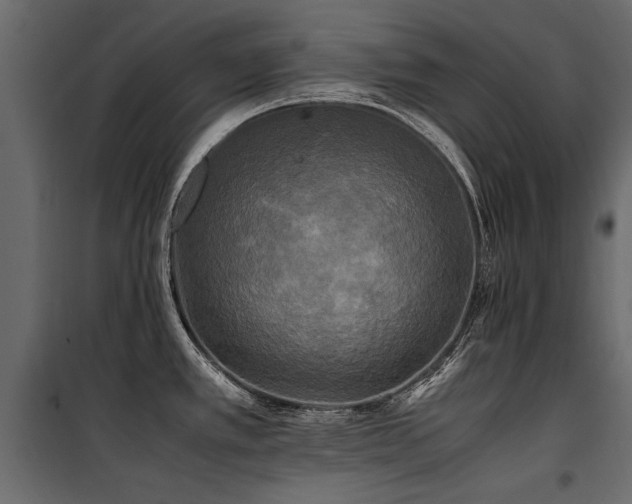 X0000100761389200806191157