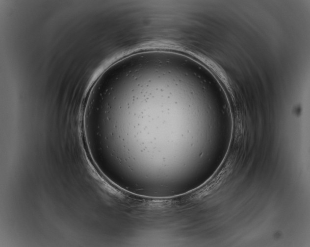 X0000100761390200806191157