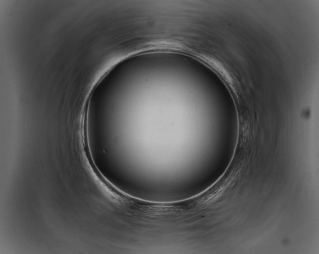 X0000100761391200806191157