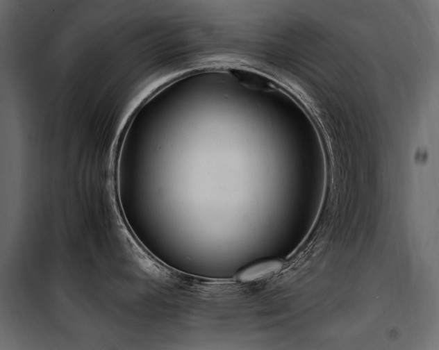 X0000100761392200806191157