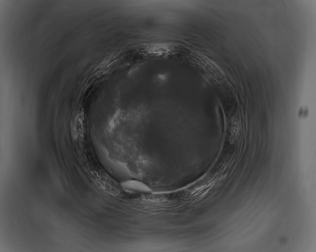 X0000100761394200806191156