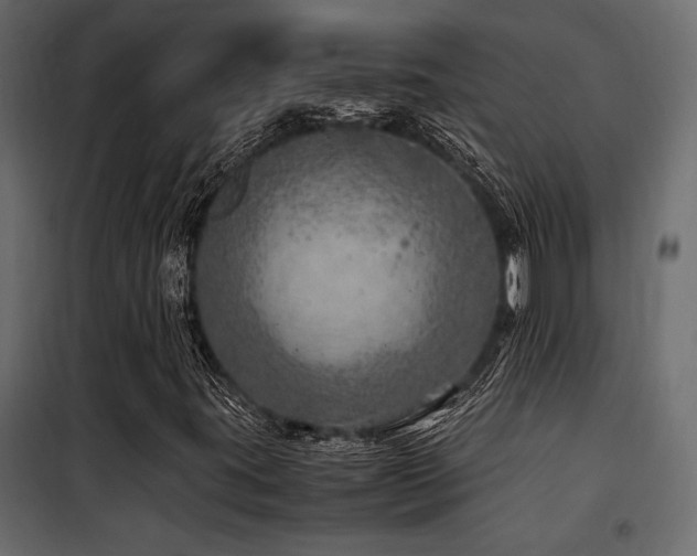 X0000100761395200806191156