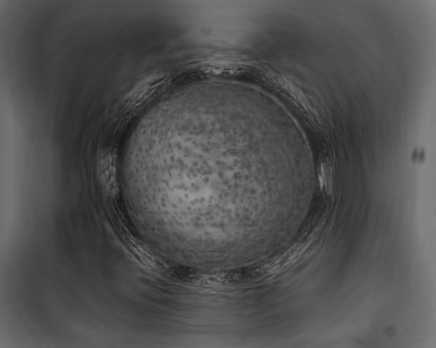 X0000100761396200806191157