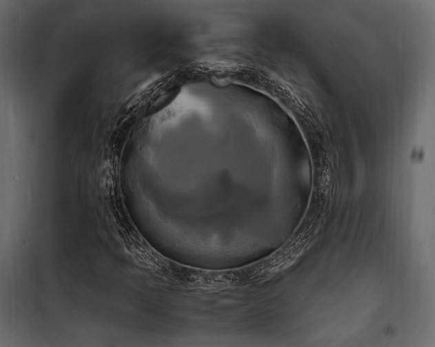 X0000100761397200806191157