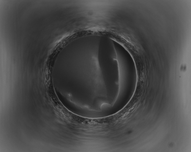 X0000100761398200806191157