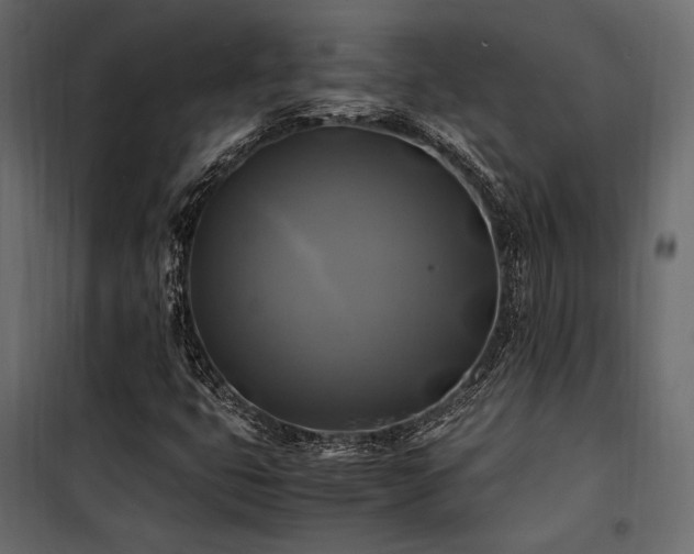 X0000100761399200806191157