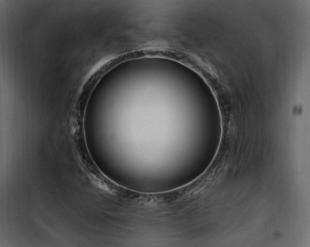 X0000100761400200806191157