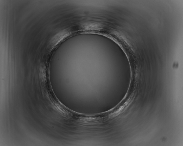 X0000100761401200806191157