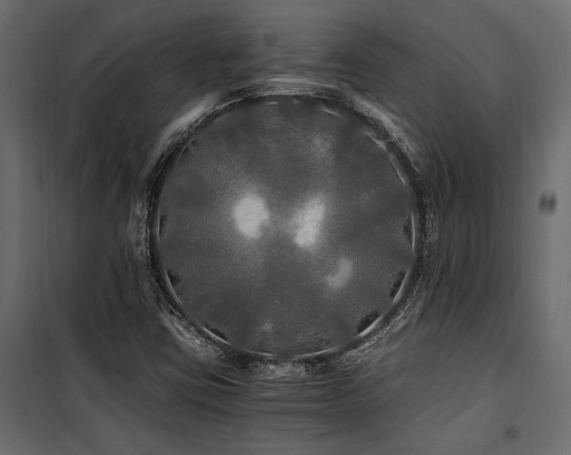 X0000100761403200806191157