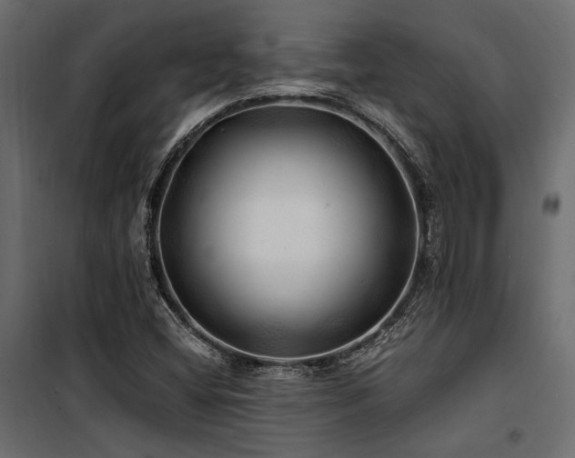 X0000100761404200806191157