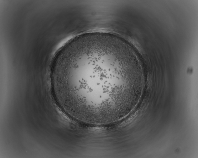 X0000100761406200806191157