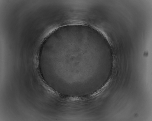 X0000100761407200806191157