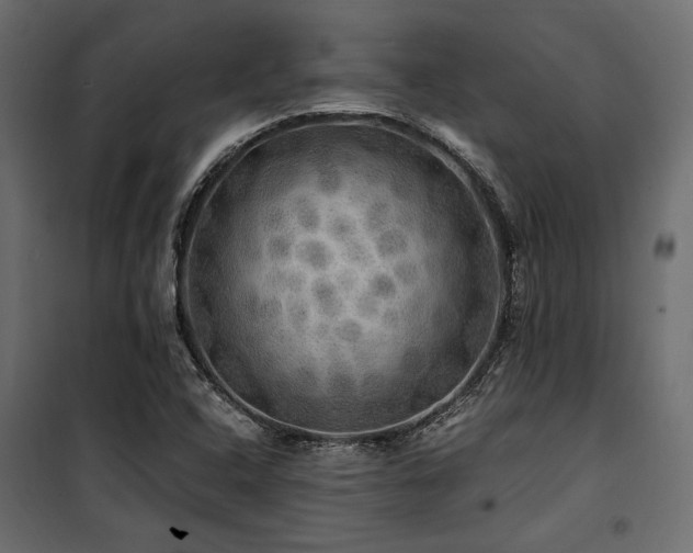 X0000100761408200806191157