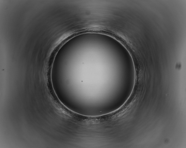 X0000100761410200806191157