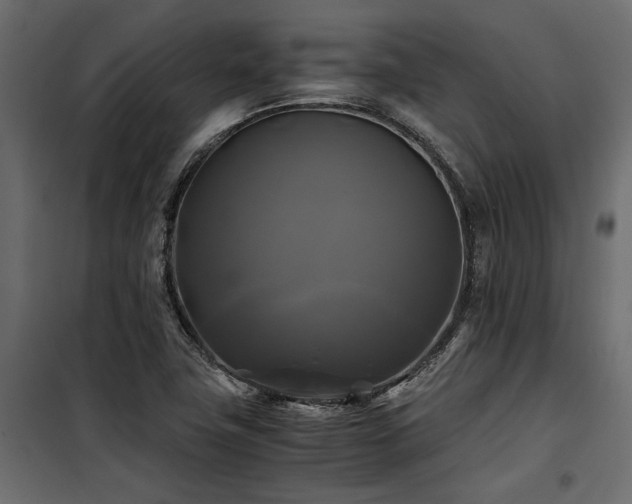 X0000100761411200806191157