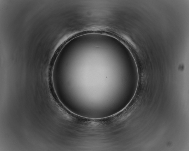 X0000100761412200806191157