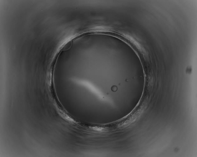 X0000100761413200806191157