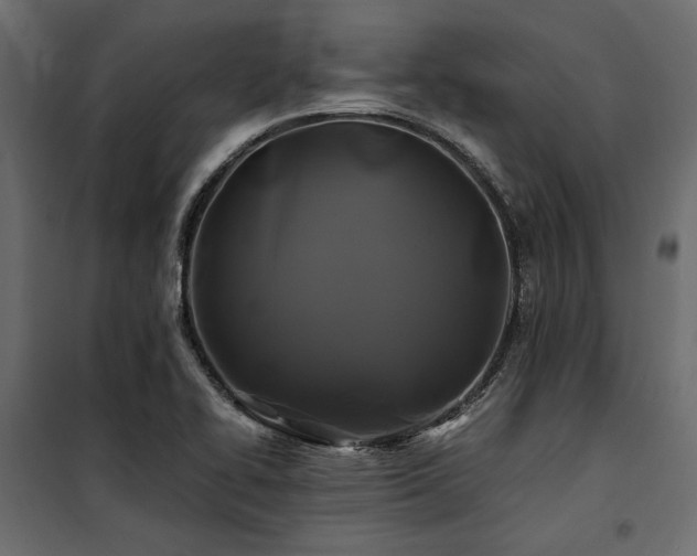 X0000100761414200806191157