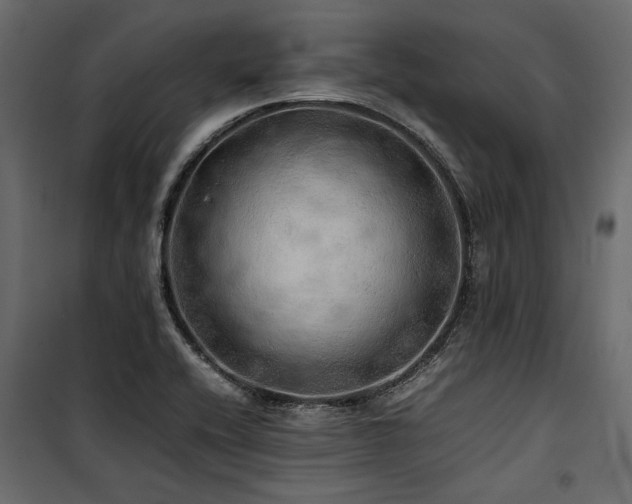 X0000100761416200806191157