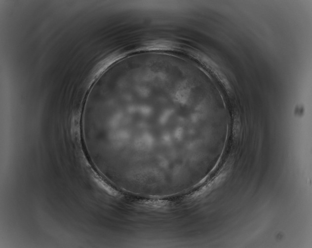 X0000100761417200806191157