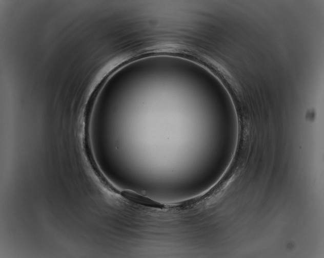 X0000100761418200806191157