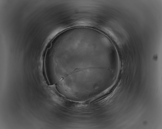 X0000100761419200806191157