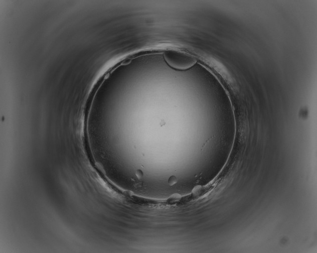 X0000100761420200806191157