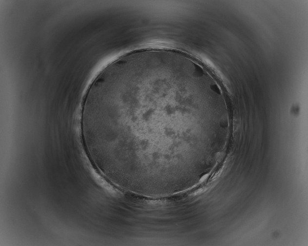 X0000100761421200806191157