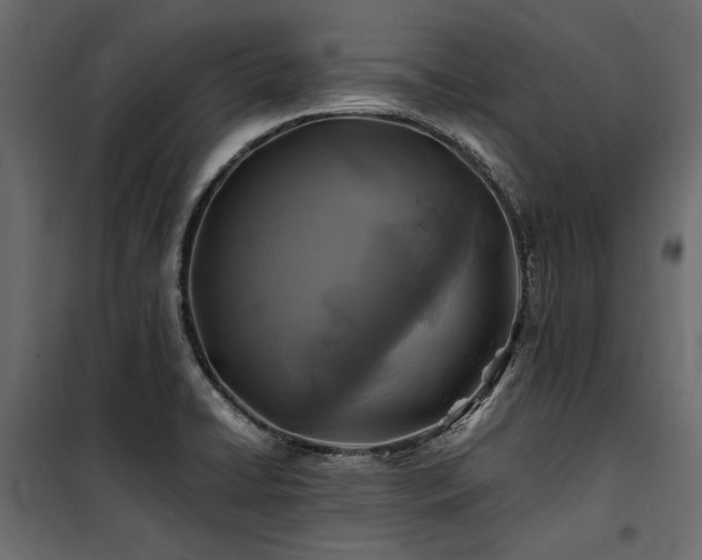 X0000100761422200806191157