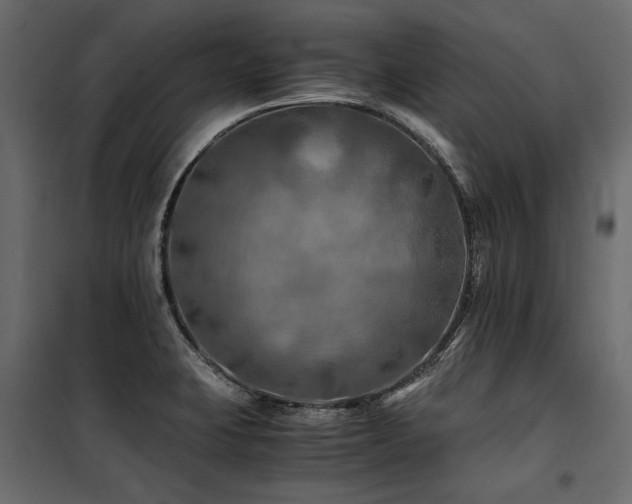 X0000100761423200806191157