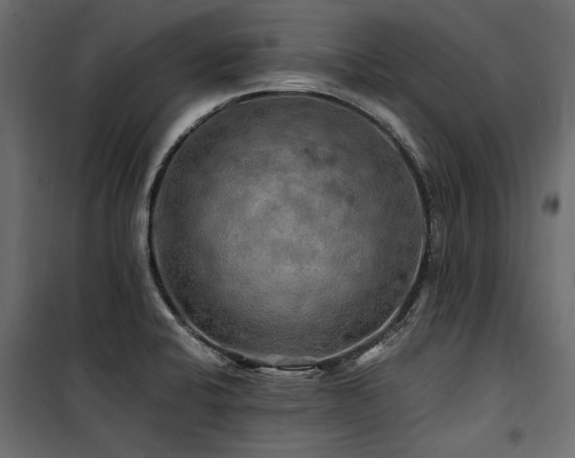 X0000100761424200806191157