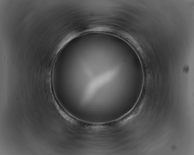 X0000100761425200806191157