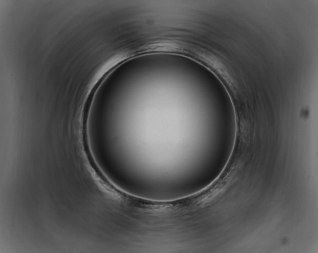 X0000100761426200806191157