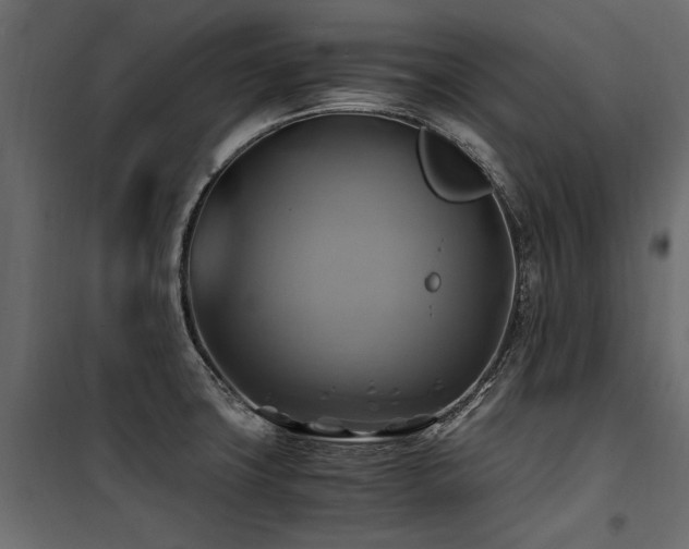 X0000100761427200806191157