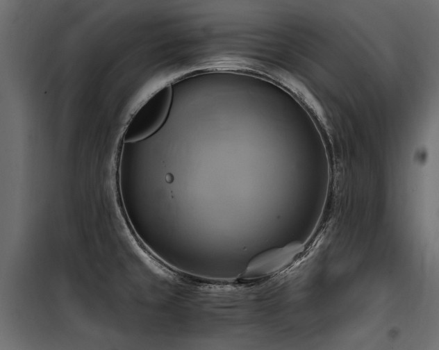 X0000100761429200806191157