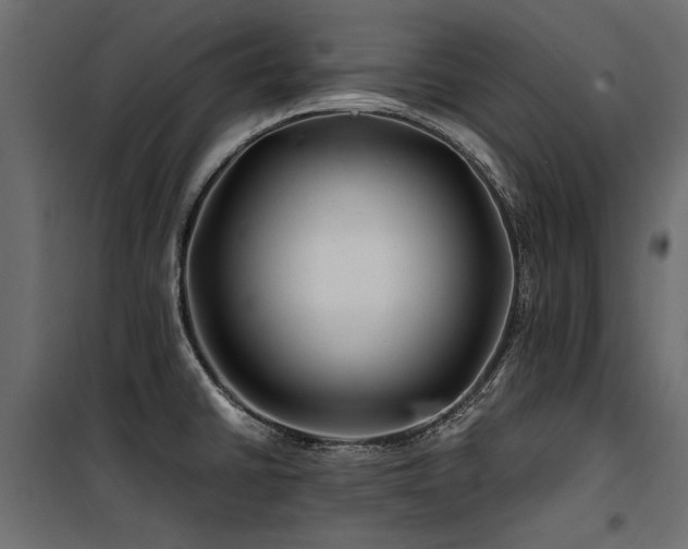 X0000100761430200806191157