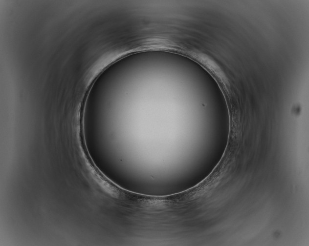 X0000100761431200806191157