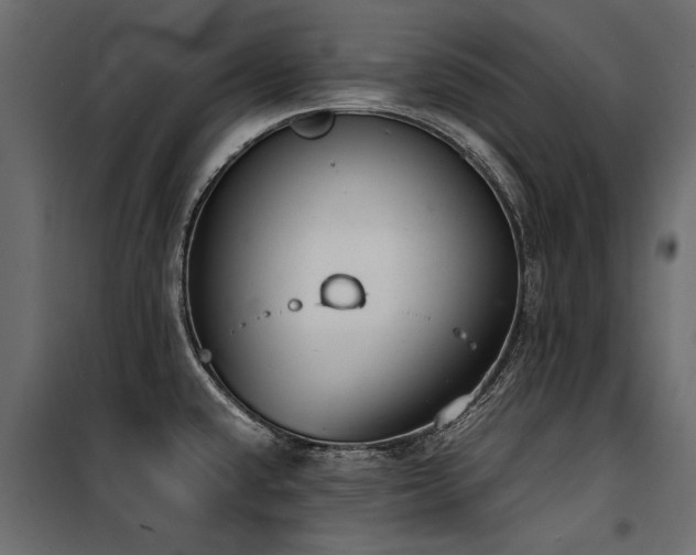 X0000100761432200806191157