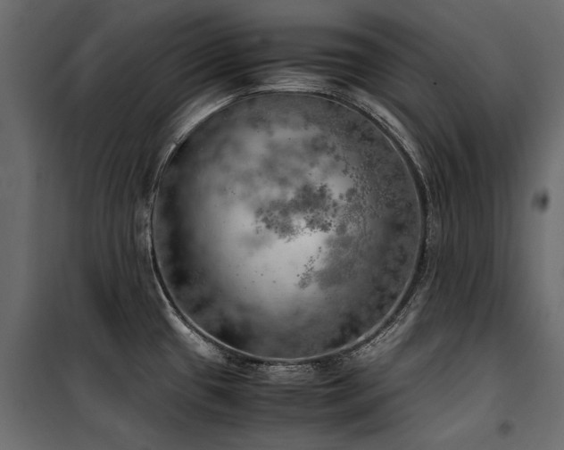 X0000100761433200806191157