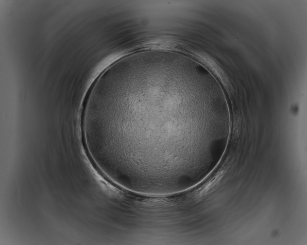 X0000100761434200806191157