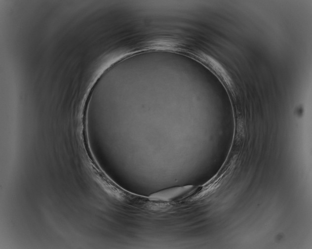 X0000100761435200806191157