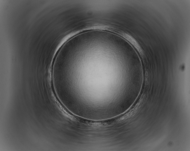 X0000100761436200806191157