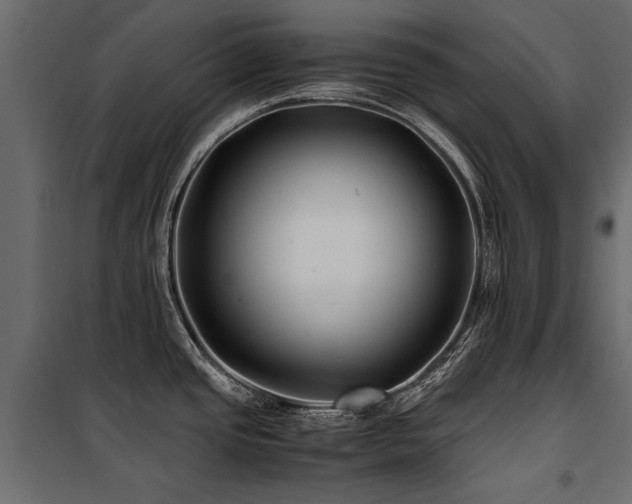 X0000100761437200806191157