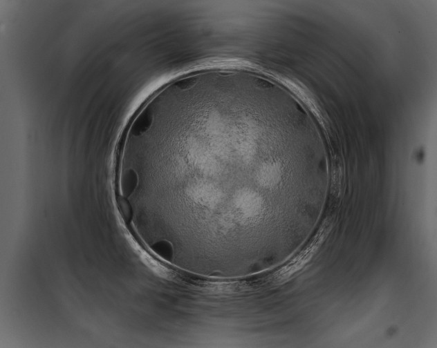 X0000100761438200806191157