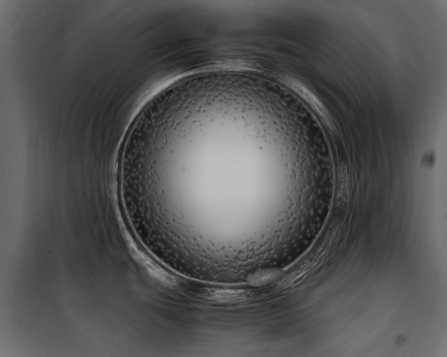 X0000100761439200806191157